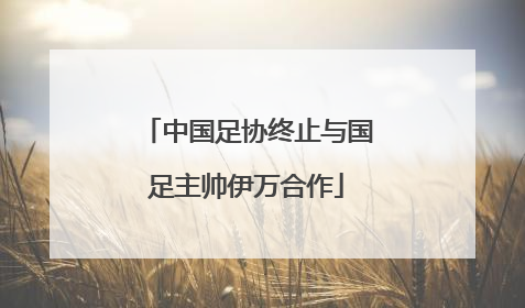 中国足协终止与国足主帅伊万合作